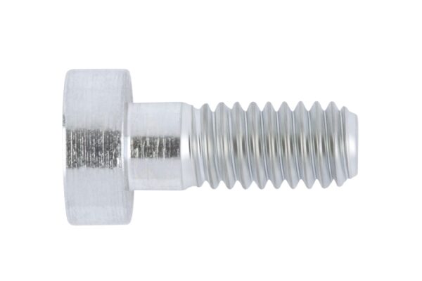 Cabeza cilíndrica con hexágono interior acero 8.8